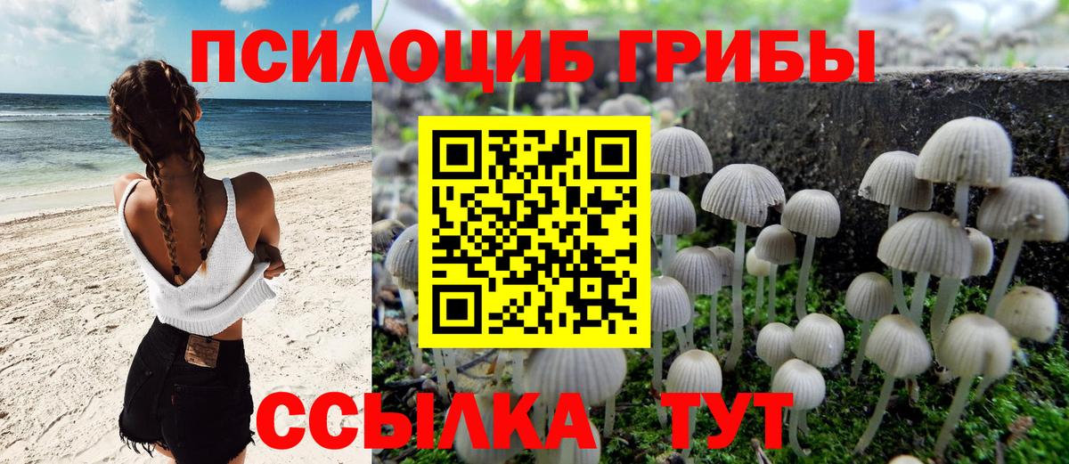 Галлюциногенные грибы Psilocybine cubensis  Вход с VPN  Мелеуз 